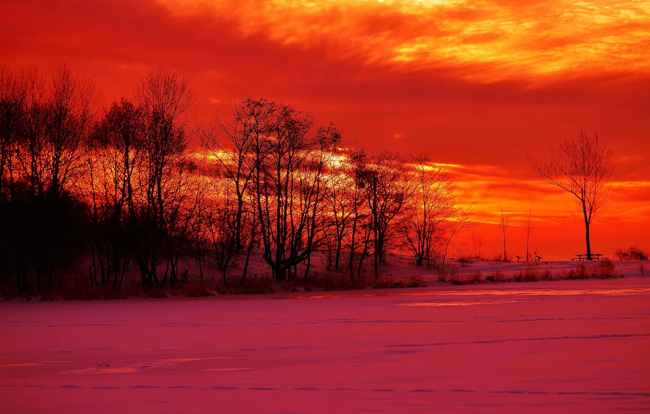 Photo wallpaper winter, the sky, clouds, snow, trees, sunset, silhouette