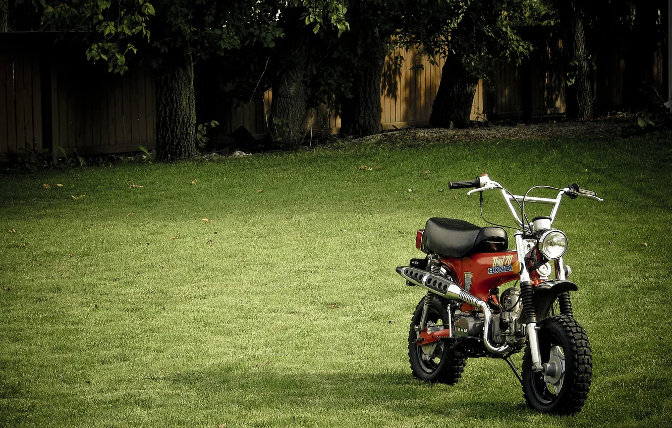 Photo wallpaper grass, trees, the fence, motorcycle, 2560x1600
