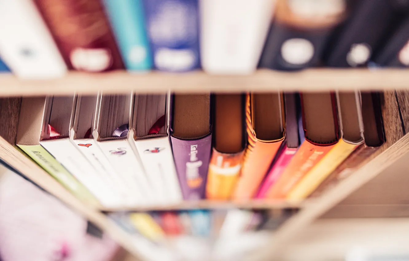 Photo wallpaper books, tidy, Bookshelf