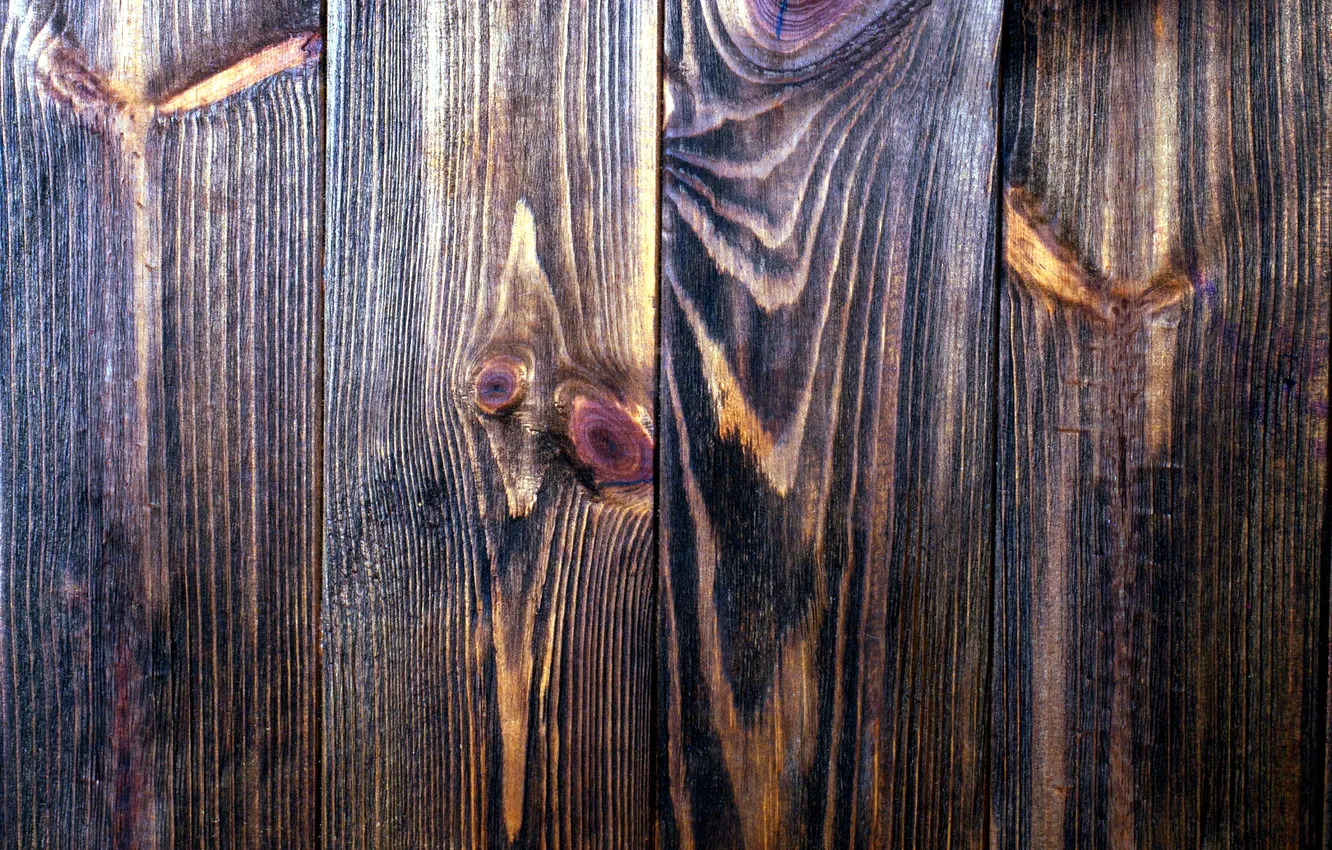 Photo wallpaper trees, color, texture, finish