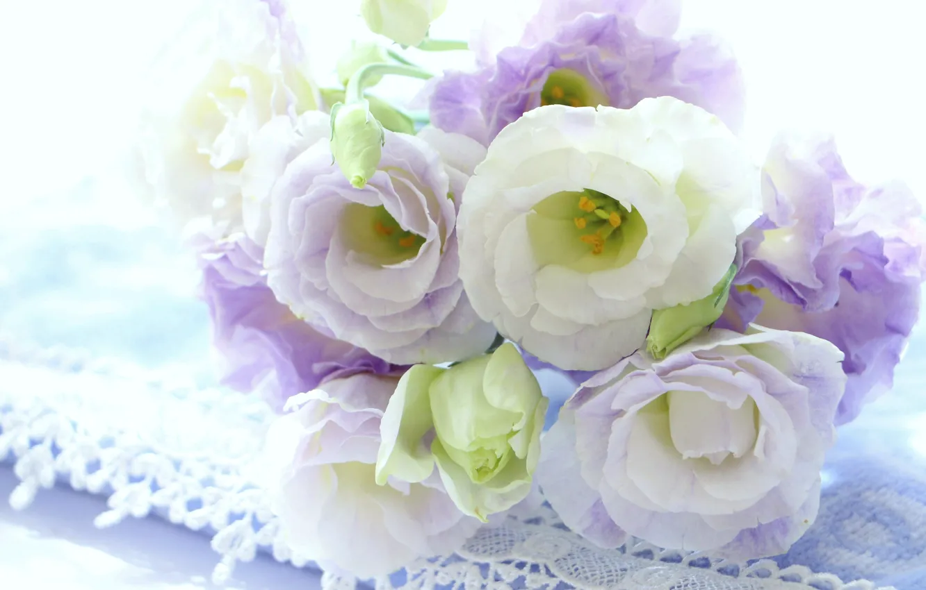Photo wallpaper flowers, bouquet, Eustoma, white-lilac