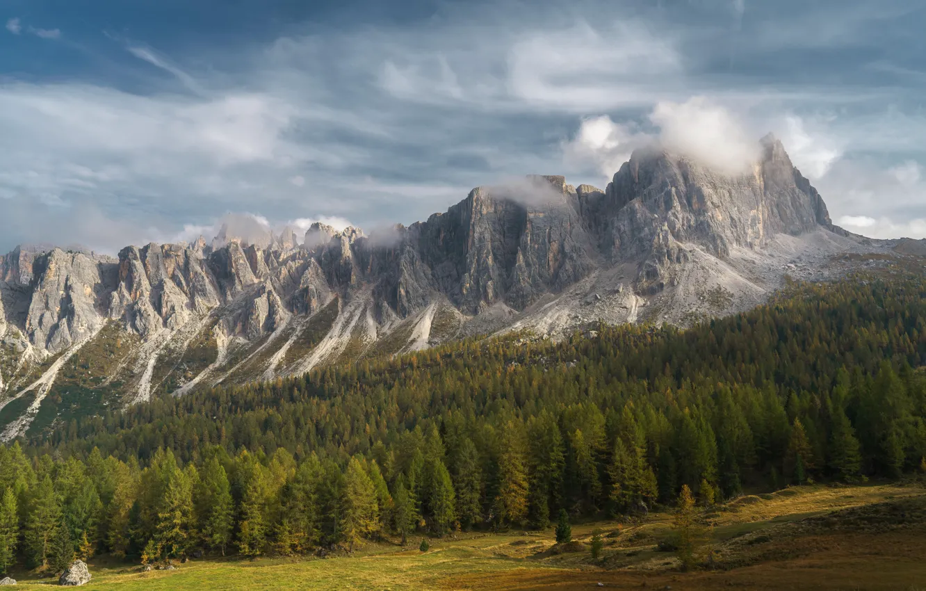 Photo wallpaper forest, field, landscape, Italy, nature, Europe, mountains, clouds