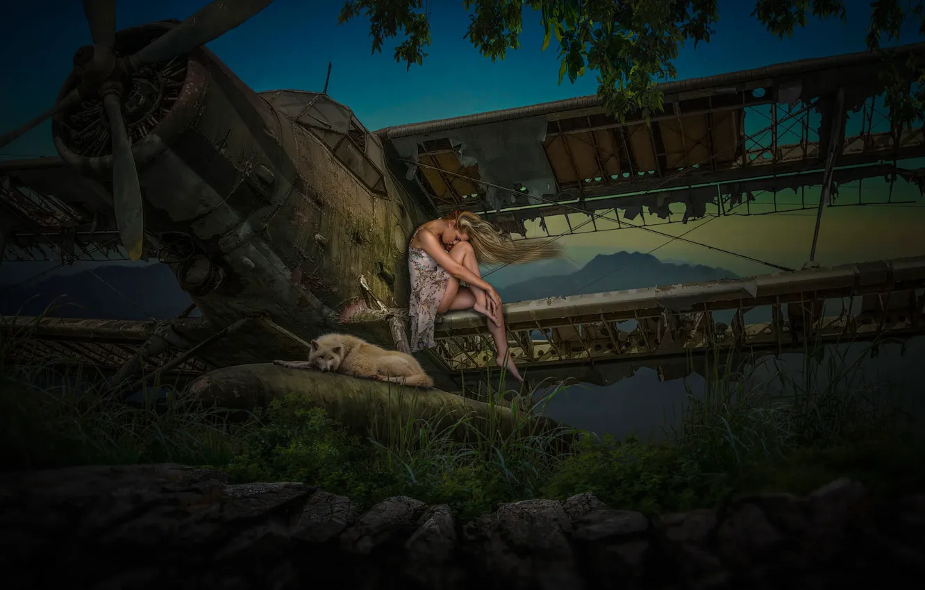 Photo wallpaper girl, pose, wolf, old, the plane, sitting, destroyed, an abandoned place
