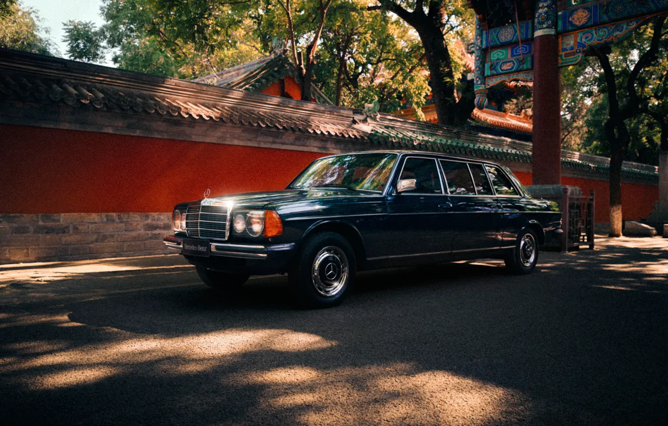 Photo wallpaper Mercedes-Benz, Mercedes, E-Class, E-Class, Mercedes-Benz 250 Limousine, V123