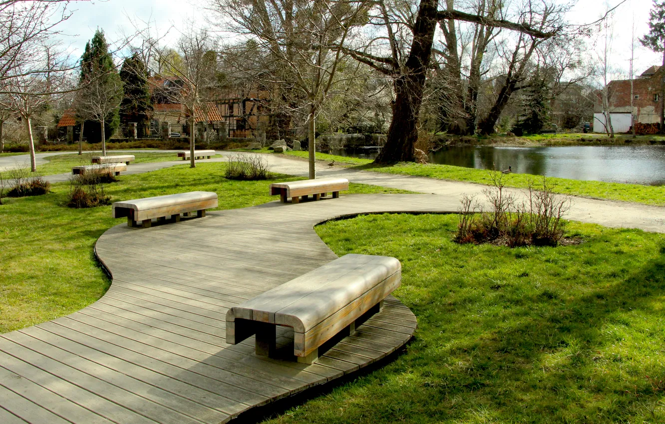 Photo wallpaper park, bench, alley