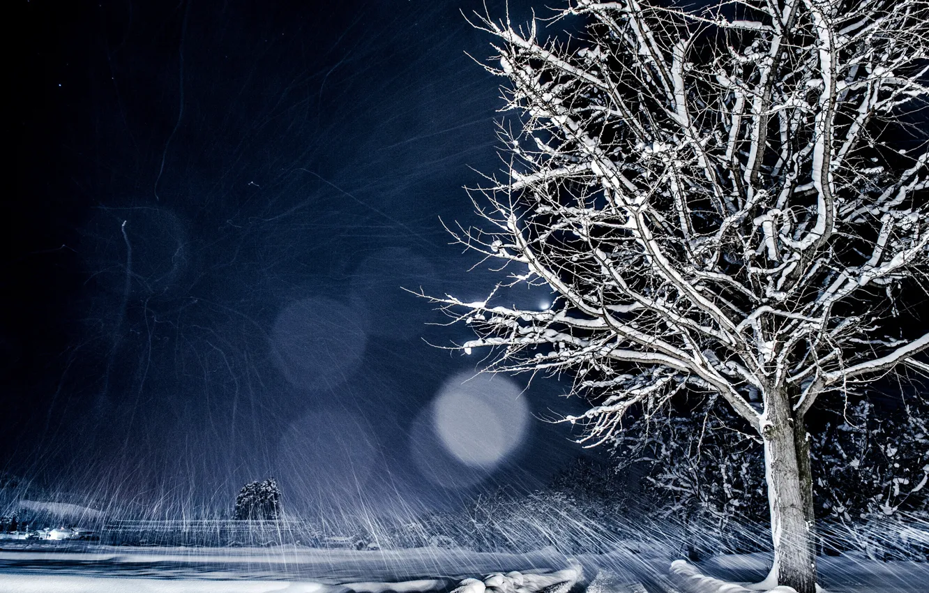 Photo wallpaper winter, snow, night, nature, tree, bokeh