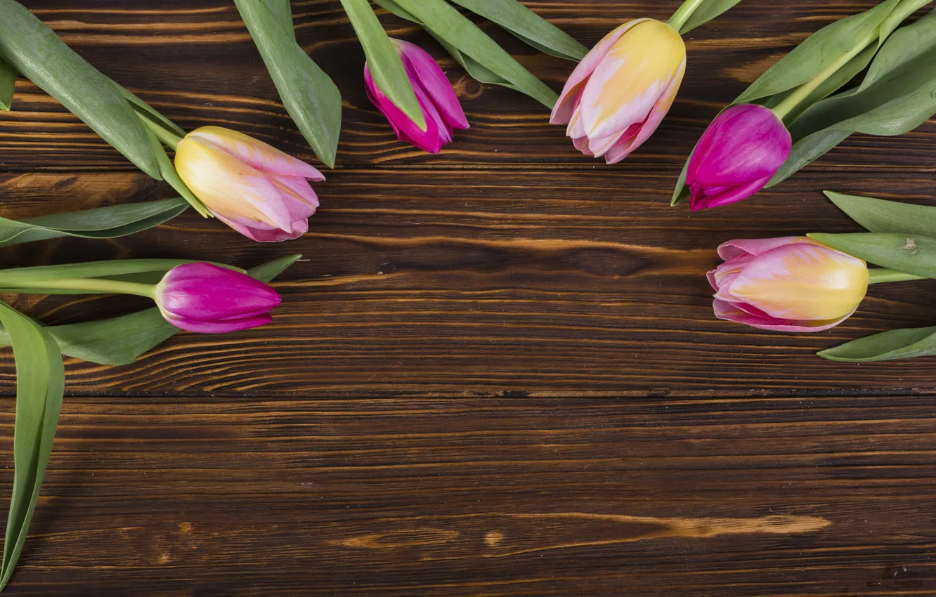 Photo wallpaper flowers, colorful, tulips, pink, fresh, wood, pink, flowers