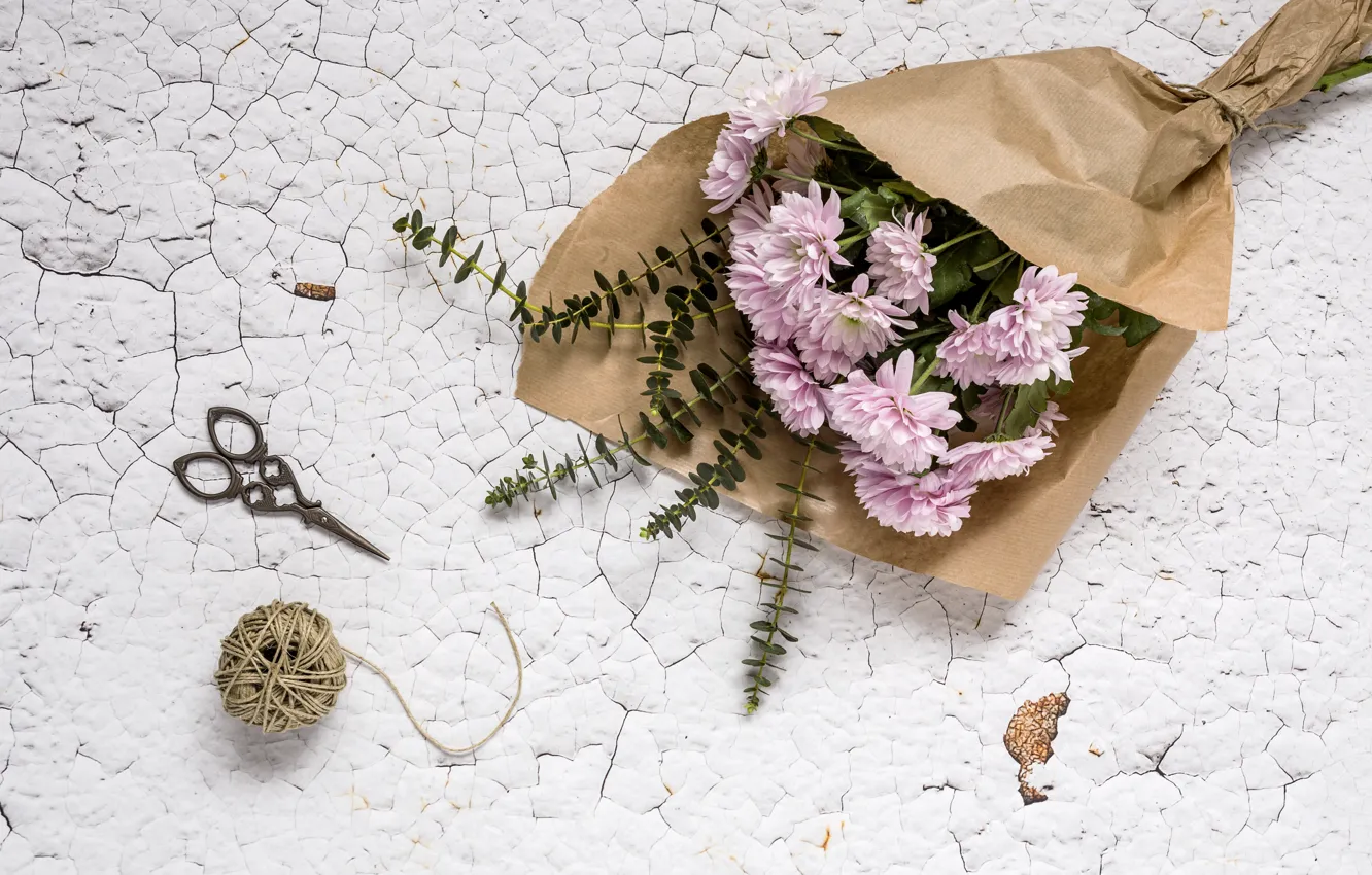 Photo wallpaper flowers, background, pink, chrysanthemum, wood, pink, flowers, violet