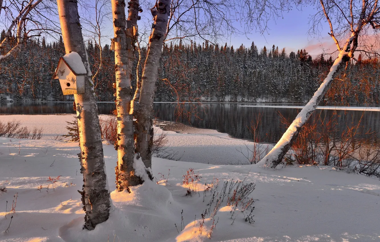 Photo wallpaper winter, landscape, birdhouse