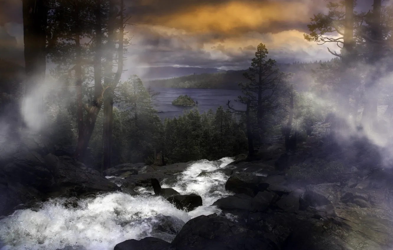 Photo wallpaper forest, trees, landscape, mountains, clouds, nature, fog, lake