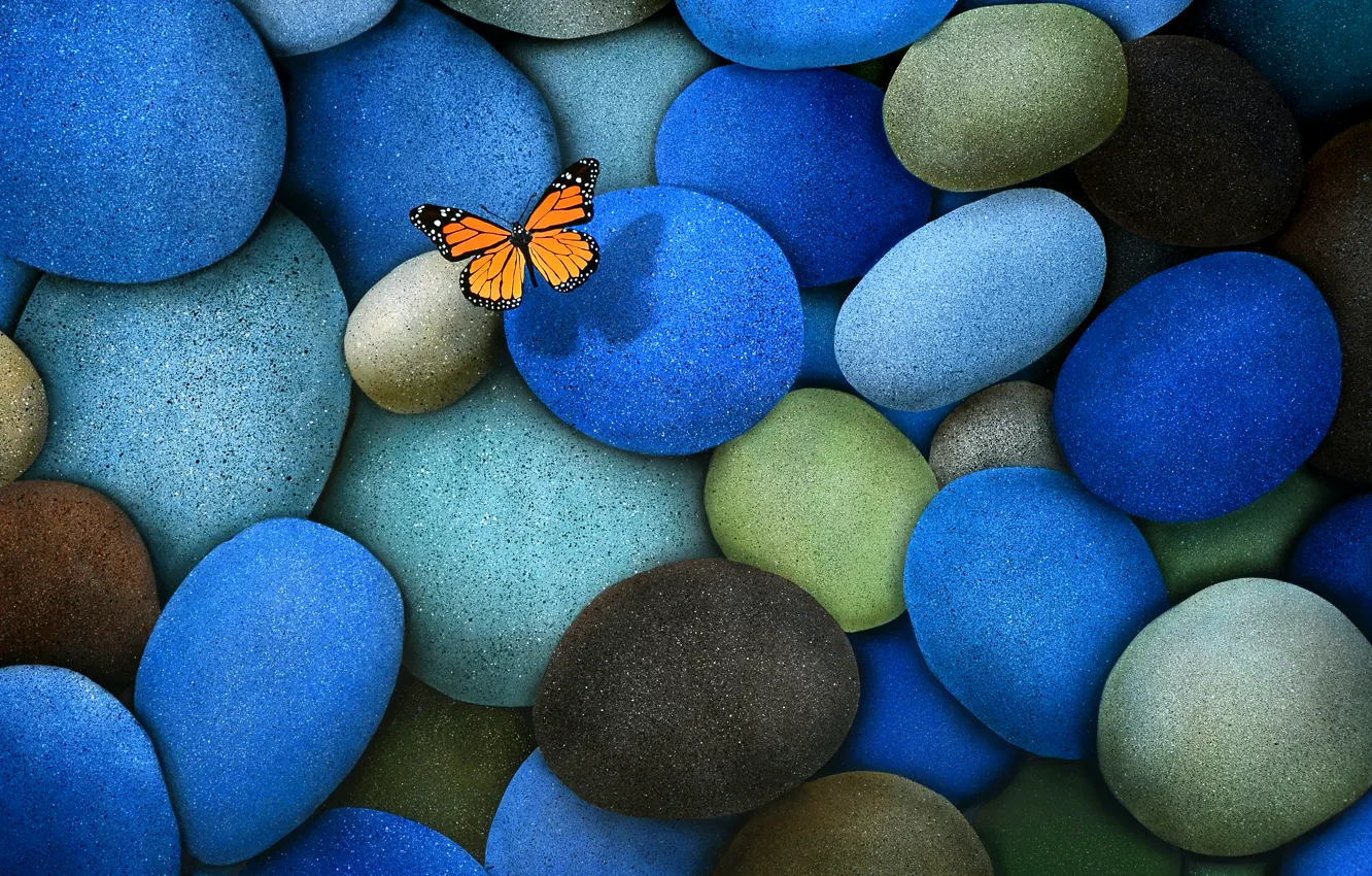 Photo wallpaper stones, butterfly, blue, brown