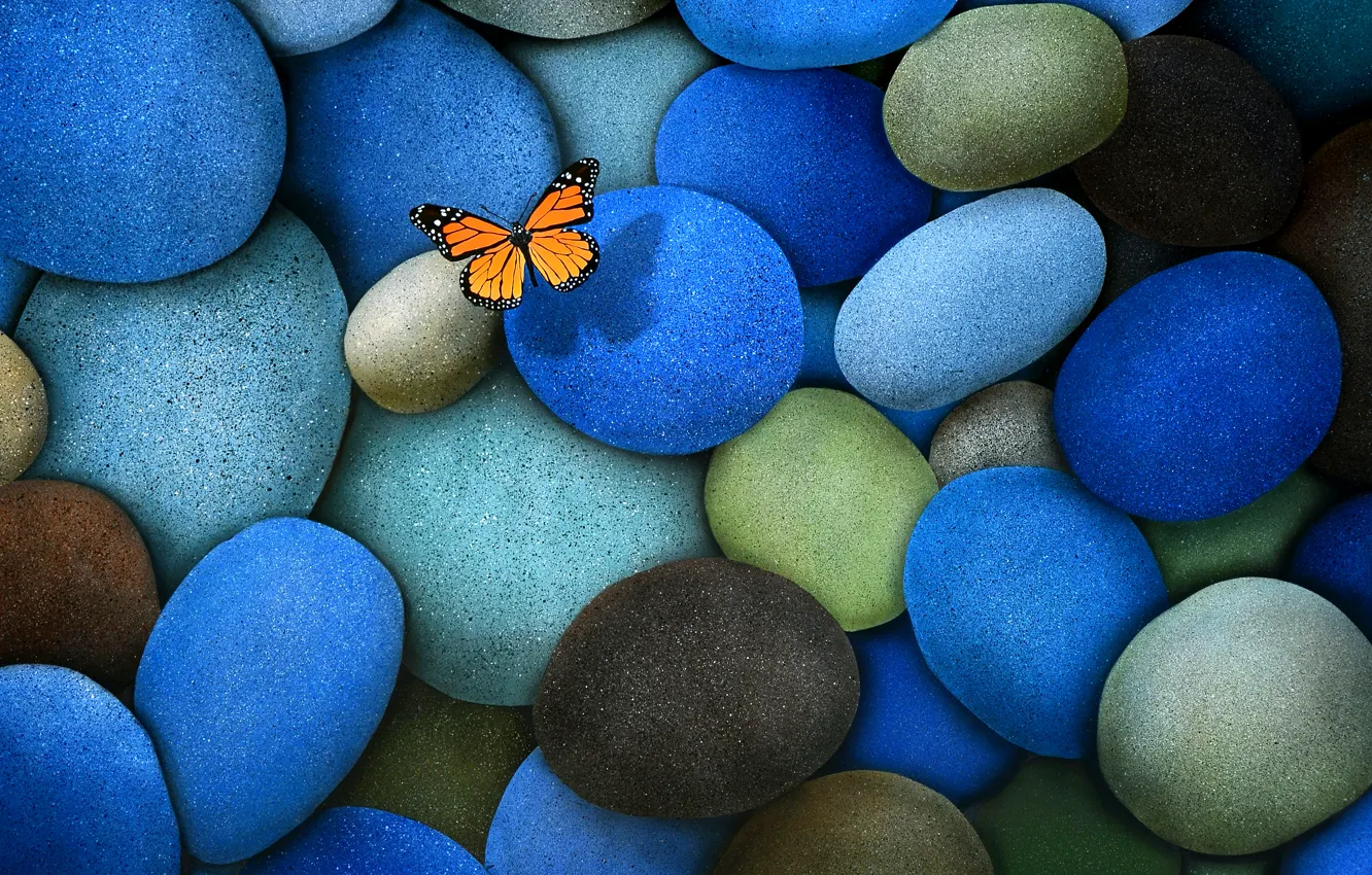 Photo wallpaper stones, blue, butterfly, brown