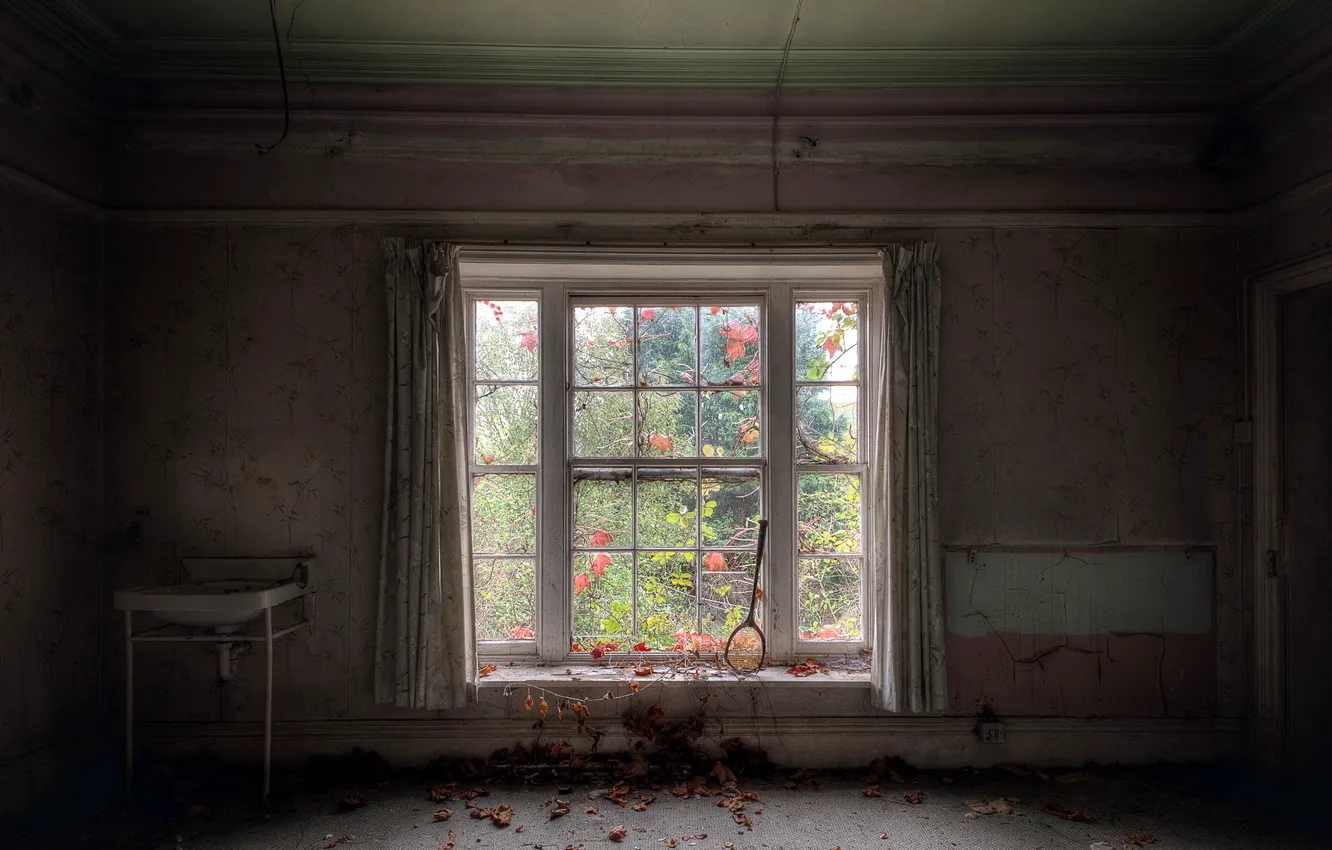 Photo wallpaper background, room, window