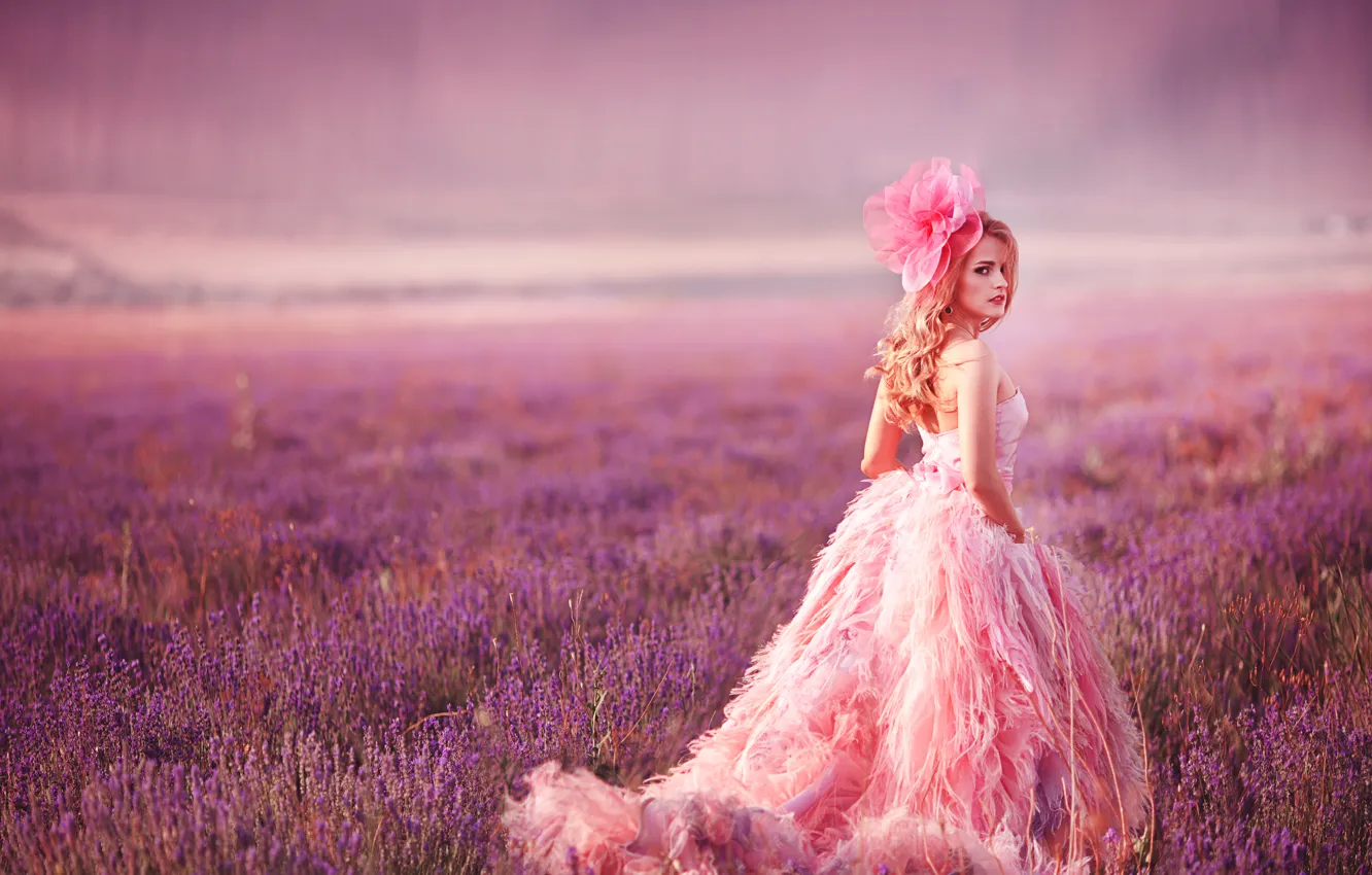 Photo wallpaper look, model, dress, meadow, bow, lavender