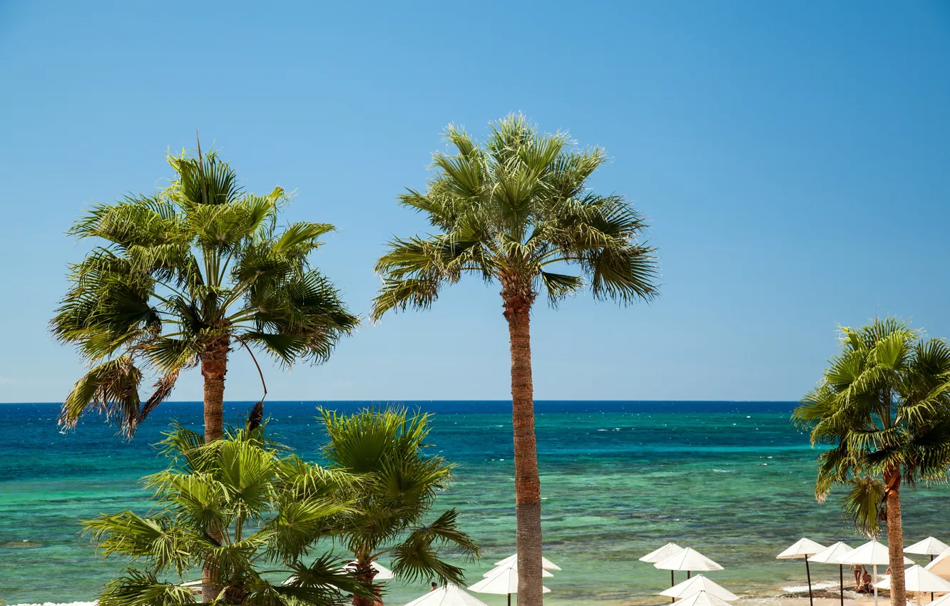 Photo wallpaper sea, beach, the sky, the sun, tropics, palm trees, horizon