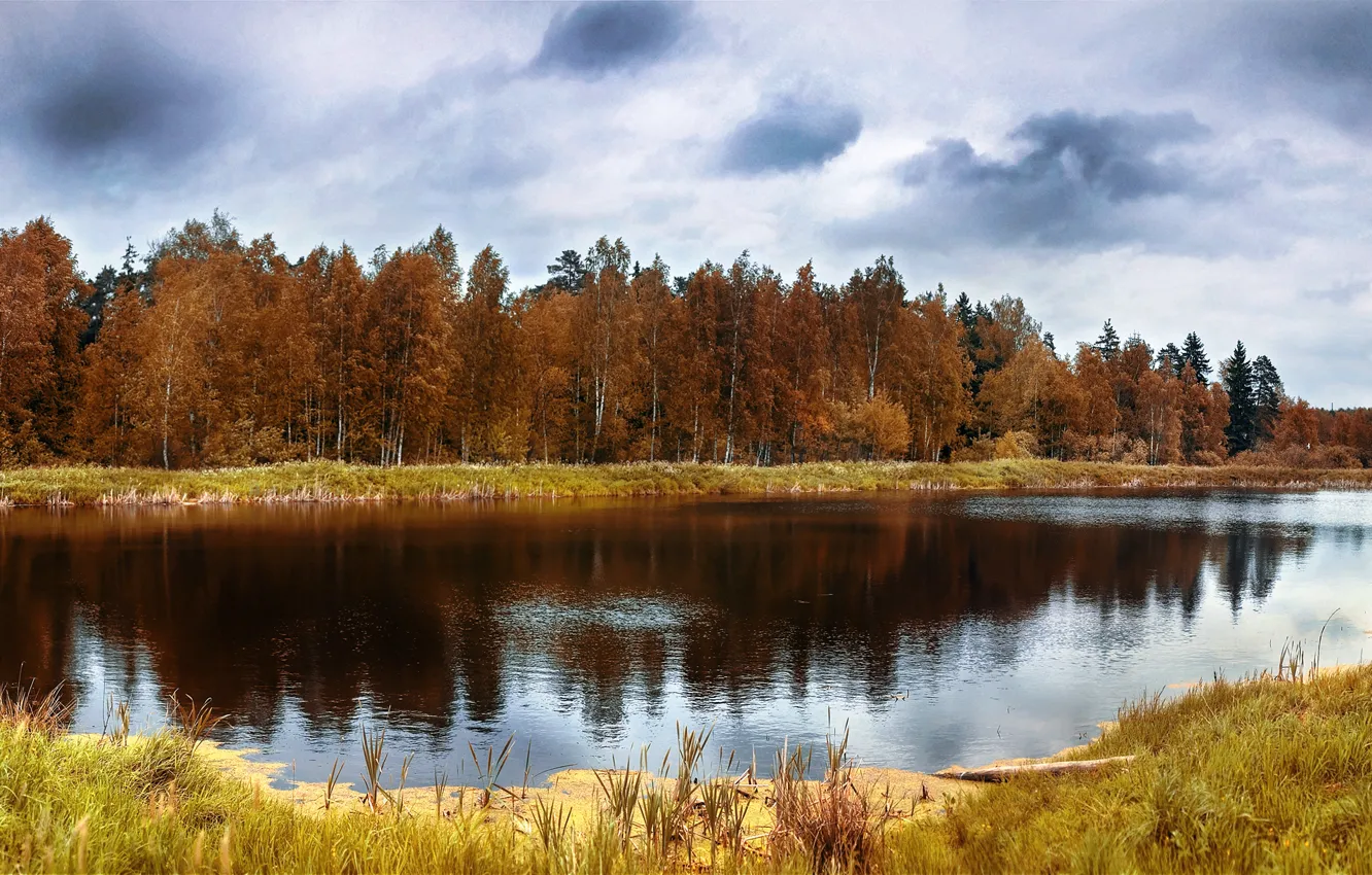 Photo wallpaper autumn, forest, reflection, trees, lake, Nature, forest, trees