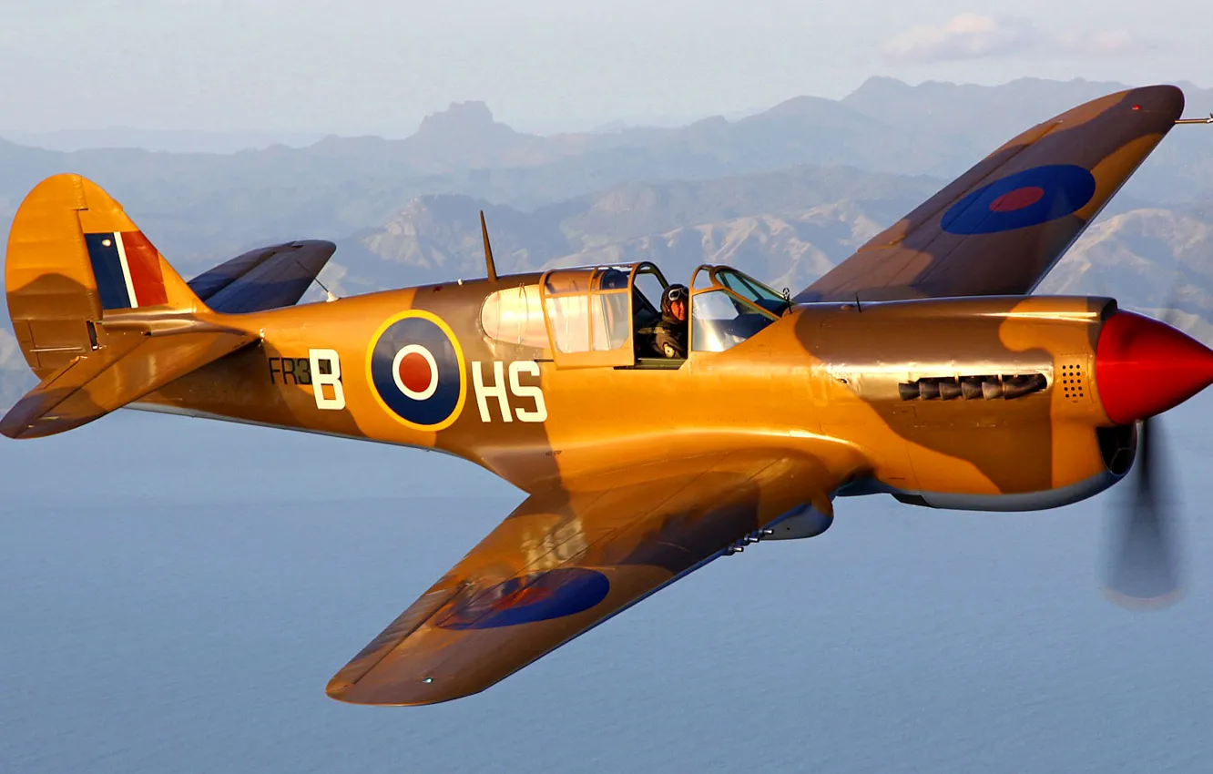 Photo wallpaper flight, the plane, landscape, fighter, pilot, P-40 Kittyhawk