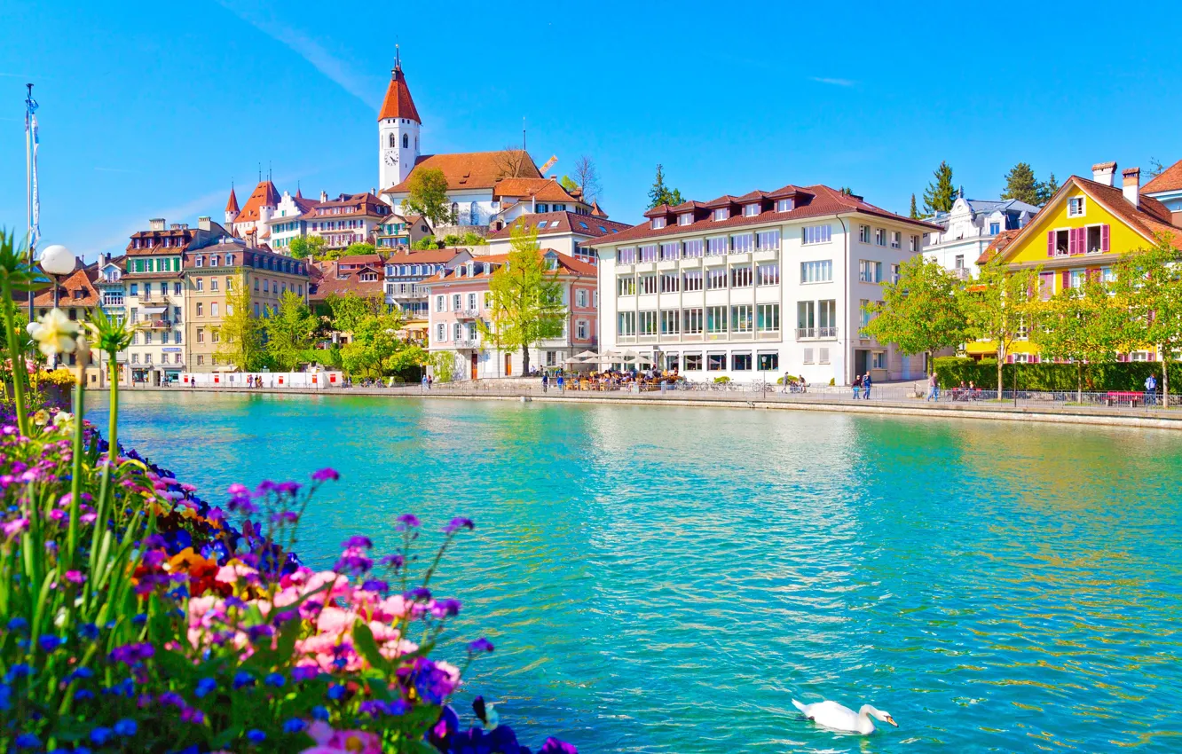 Photo wallpaper flowers, river, building, home, Switzerland, swans, promenade, Switzerland