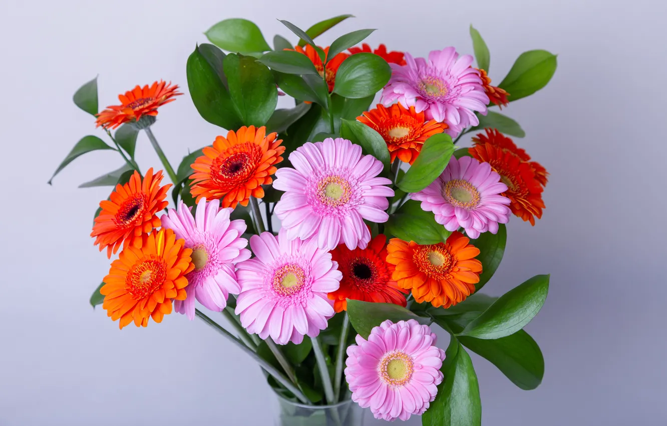Photo wallpaper flowers, bouquet, gerbera