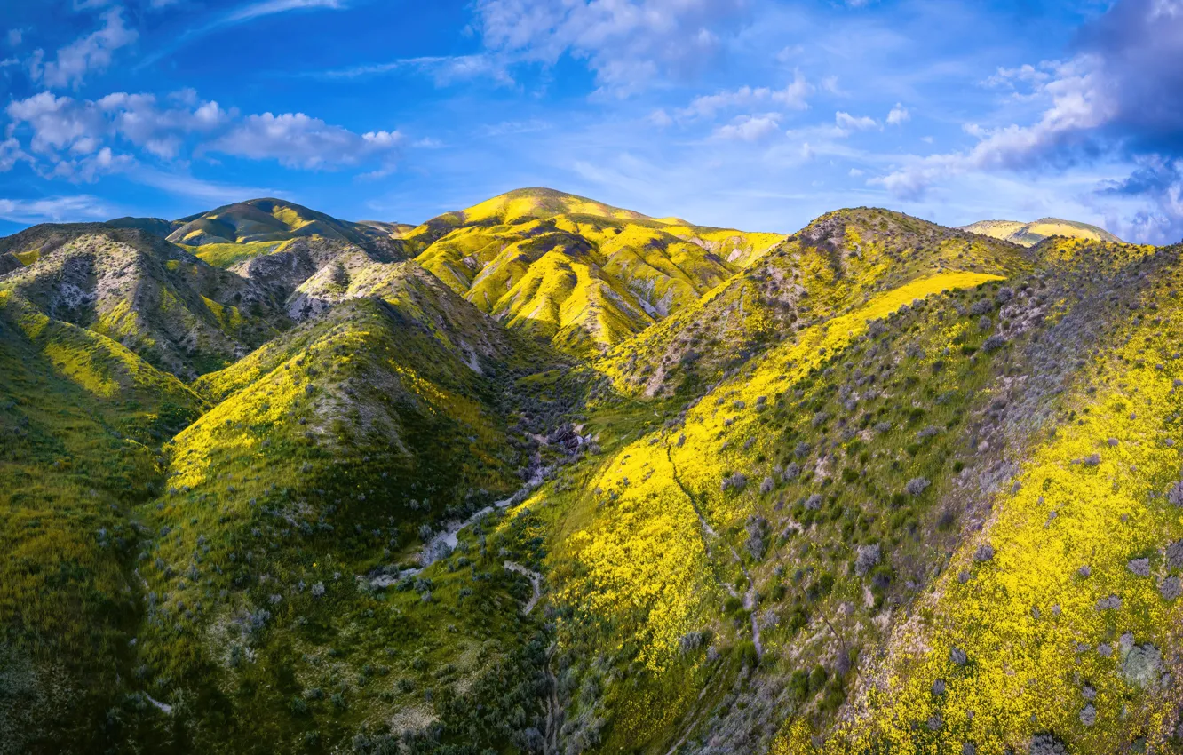 Photo wallpaper California, National Monument, plain, carrizo