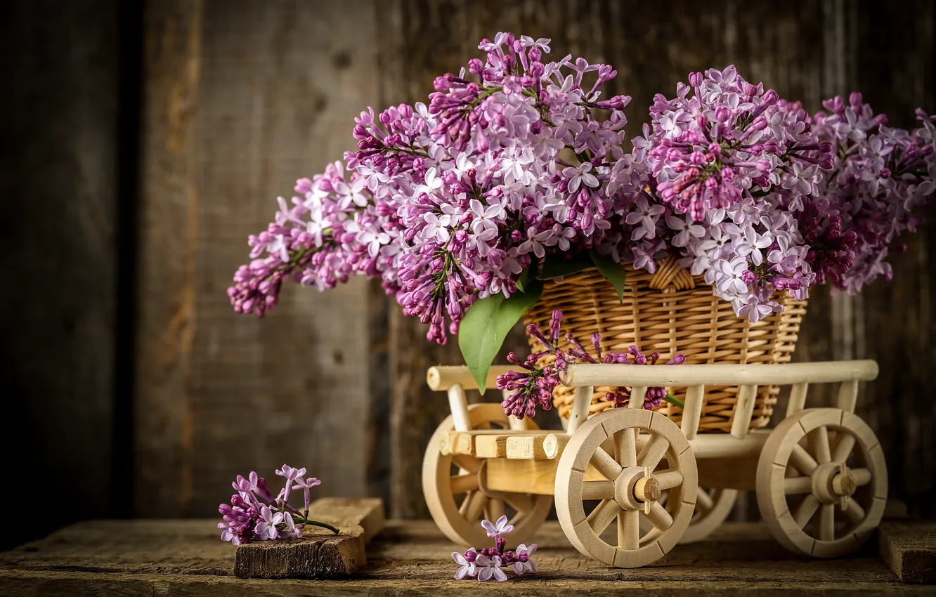 Photo wallpaper bouquet, truck, basket, lilac