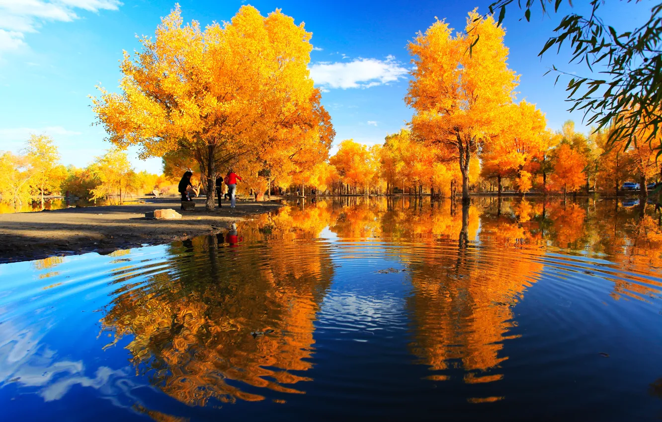 Photo wallpaper autumn, trees, Park, river, China