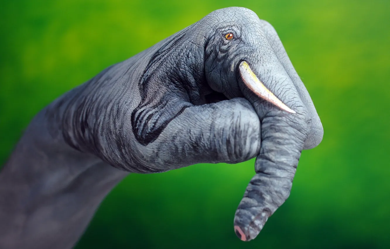 Photo wallpaper green, background, elephant, hand