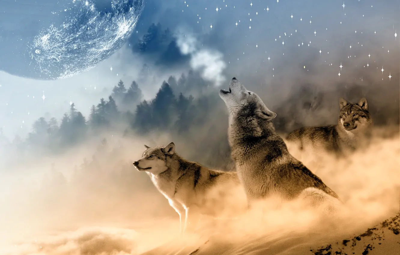 Photo wallpaper landscape, the moon, winter, three, howl, wolf
