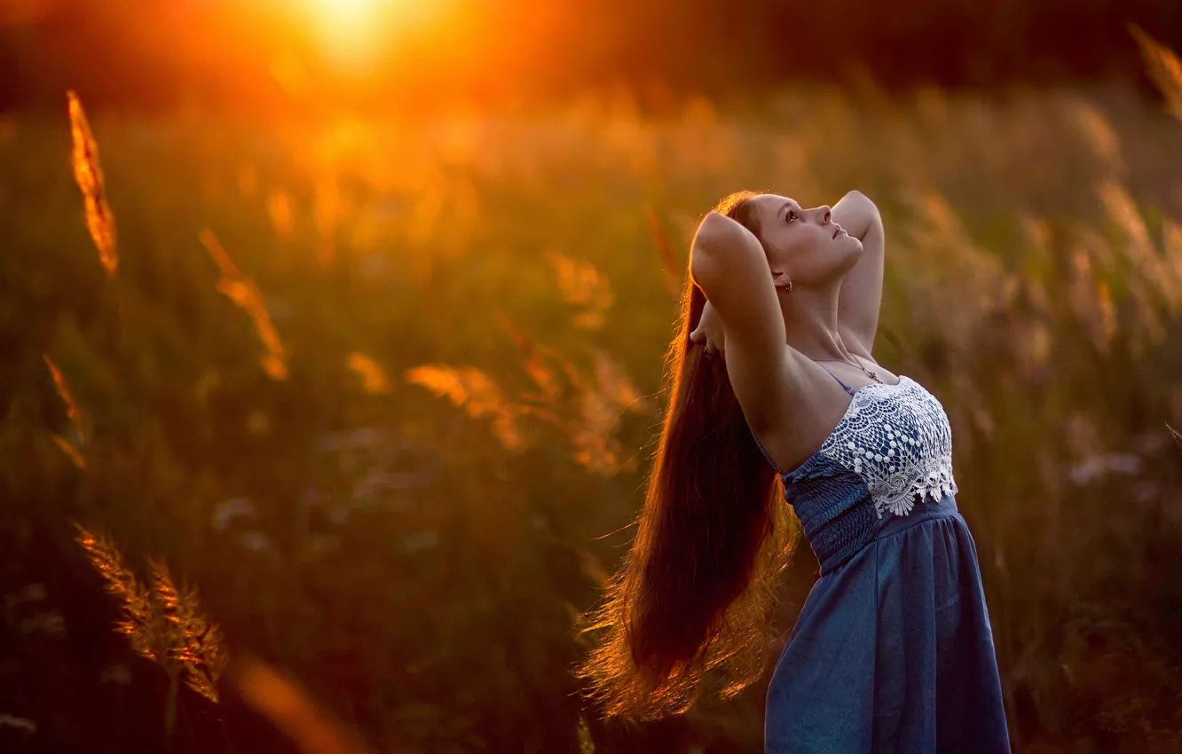 Photo wallpaper girl, sunset, nature, hair, sunlight
