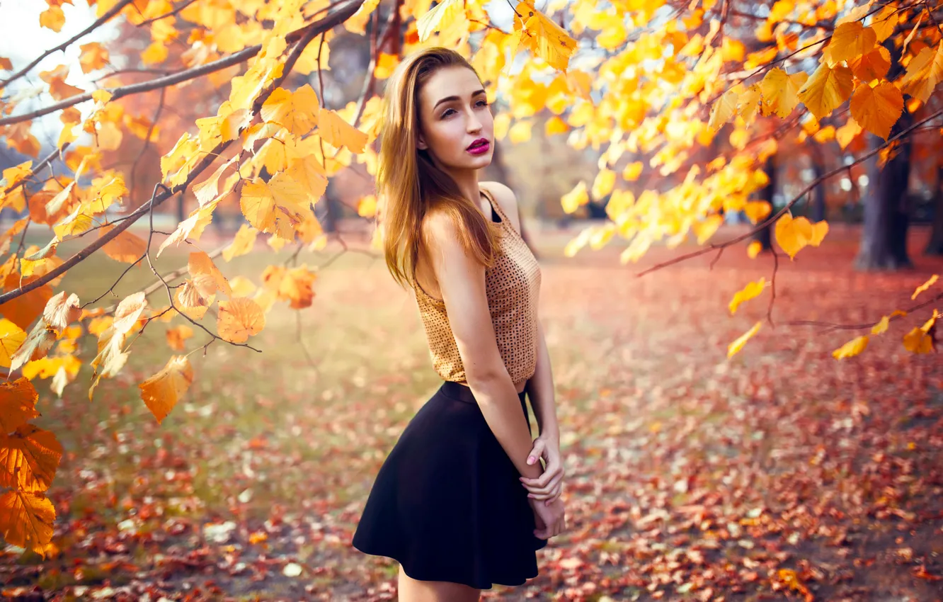 Photo wallpaper Girl, Fall, Beautiful, Model, Tree, Autumn, Beauty, Woman
