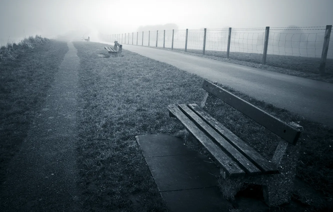 Photo wallpaper street, the evening, bench