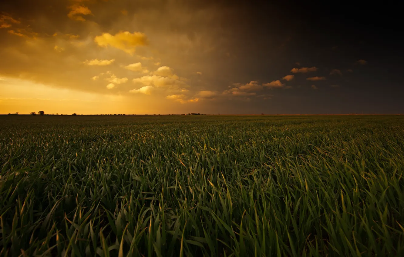 Photo wallpaper field, clouds, green grass, beauty, space, space, field, clouds