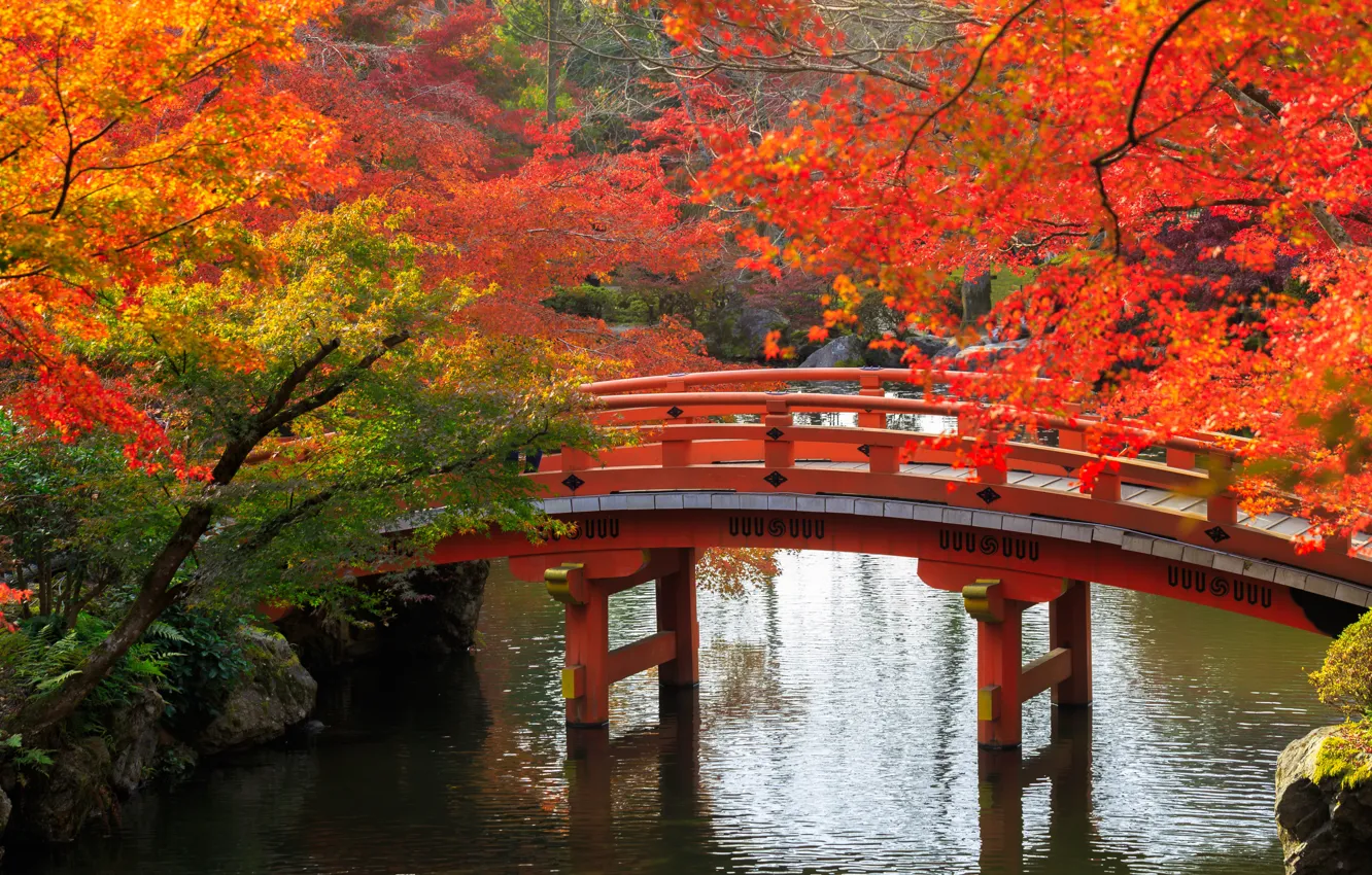 Photo wallpaper autumn, trees, bridge, pond, Park, stones, Japan, Kyoto