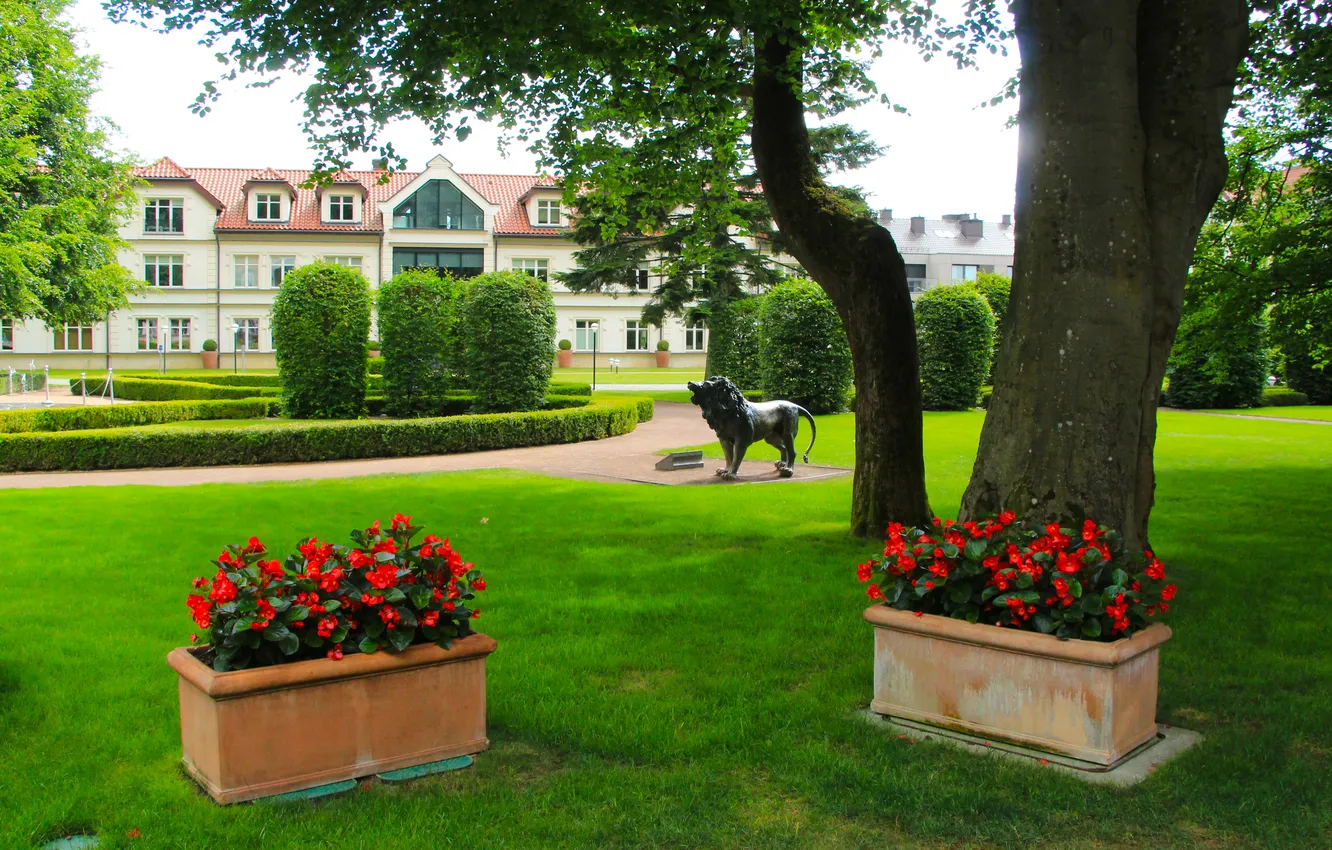 Photo wallpaper flower, park, alley