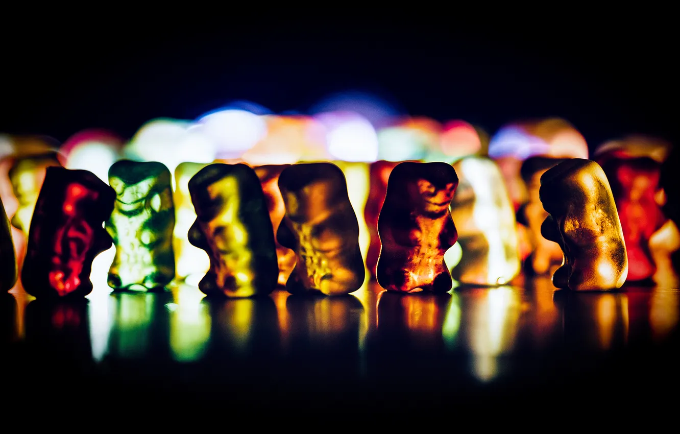 Photo wallpaper macro, bear, photographer, photography, photographer, Björn Wunderlich