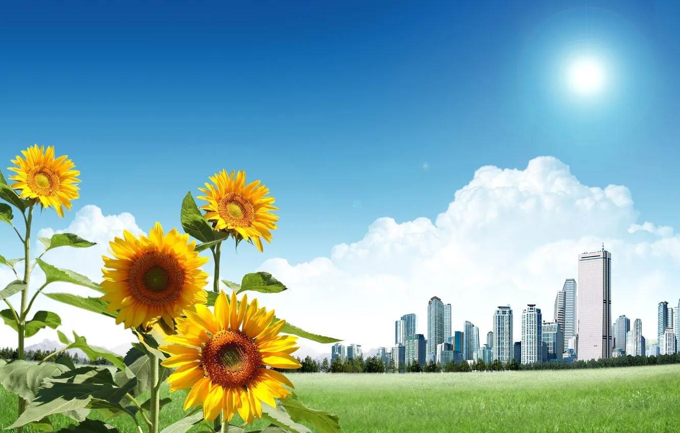 Photo wallpaper the sky, grass, the sun, clouds, light, sunflowers, flowers, nature