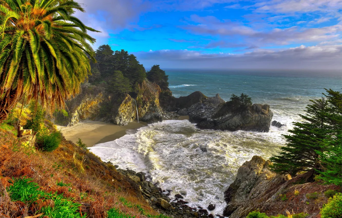 Photo wallpaper sea, the sky, palm trees, rocks, waterfall, USA, californa