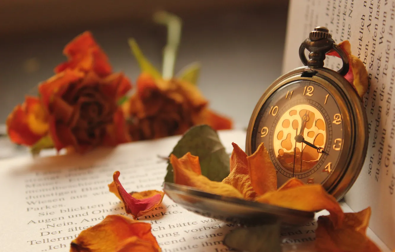 Photo wallpaper flowers, watch, roses, petals, book, pocket