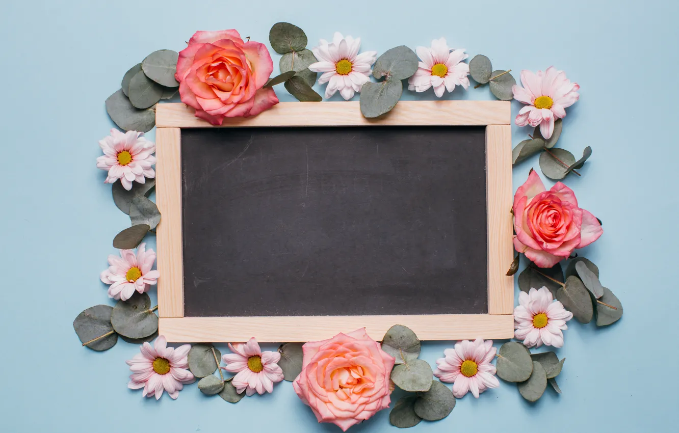 Photo wallpaper Board, roses, petals, chrysanthemum