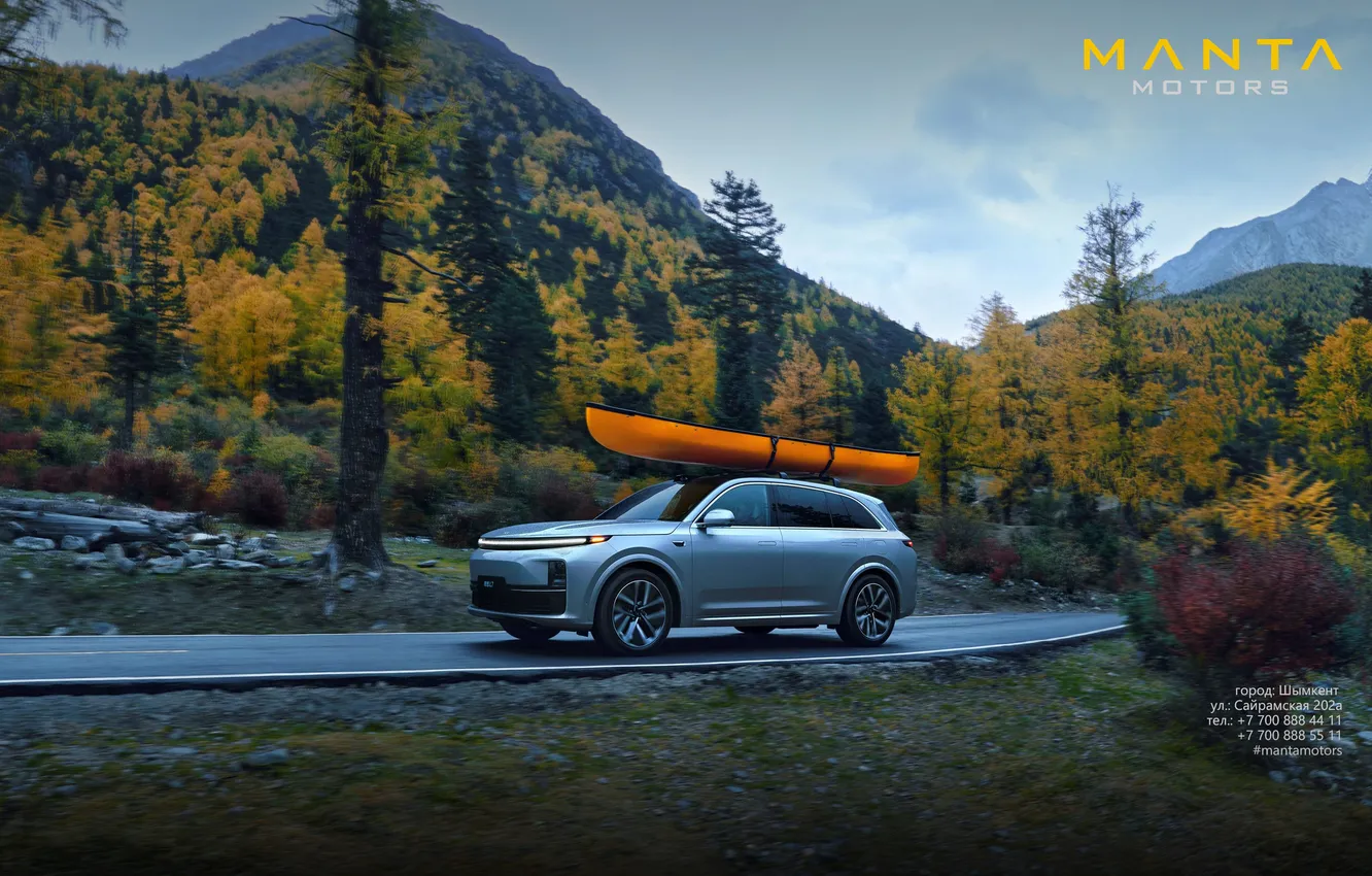 Photo wallpaper car, manta rays, lixiang