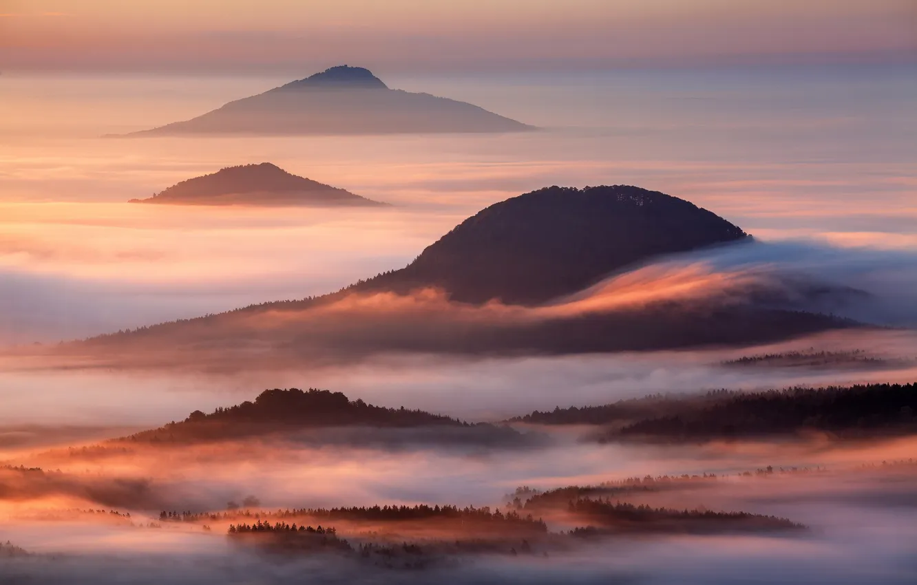 Photo wallpaper forest, trees, landscape, nature, sunset, mountains, mist, Martin Rak