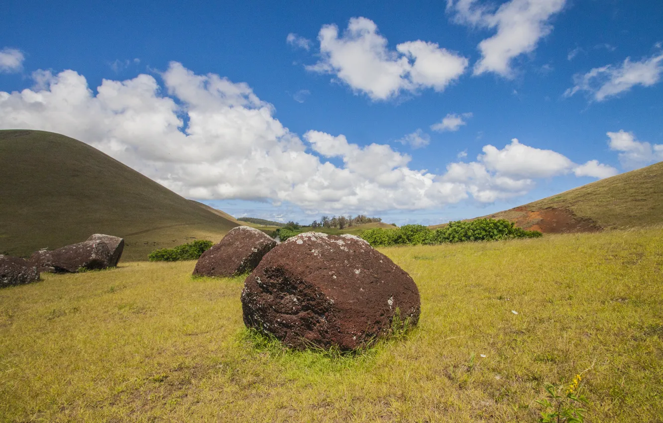 Photo wallpaper the sky, grass, clouds, mountains, stones