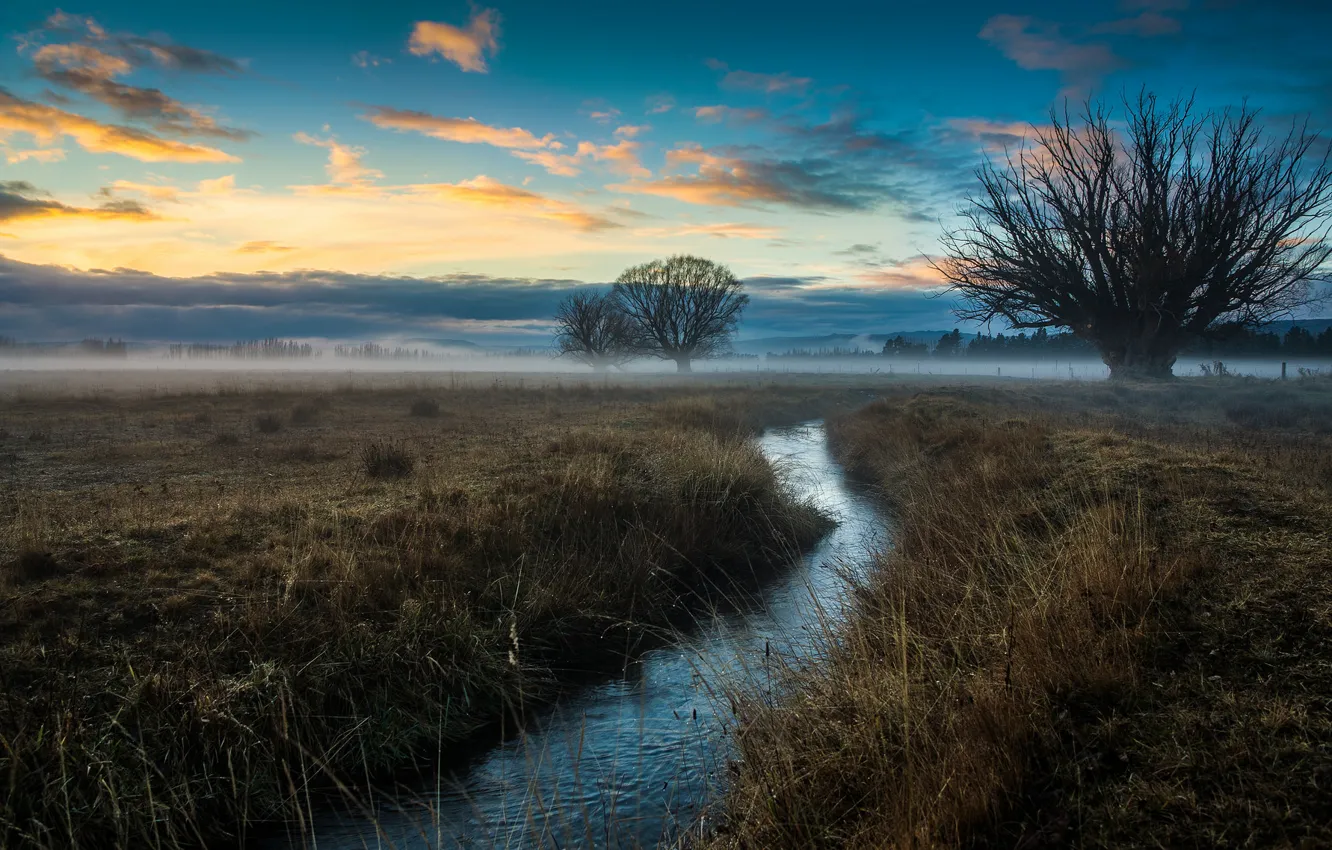 Photo wallpaper field, the sky, clouds, trees, fog, stream, glow