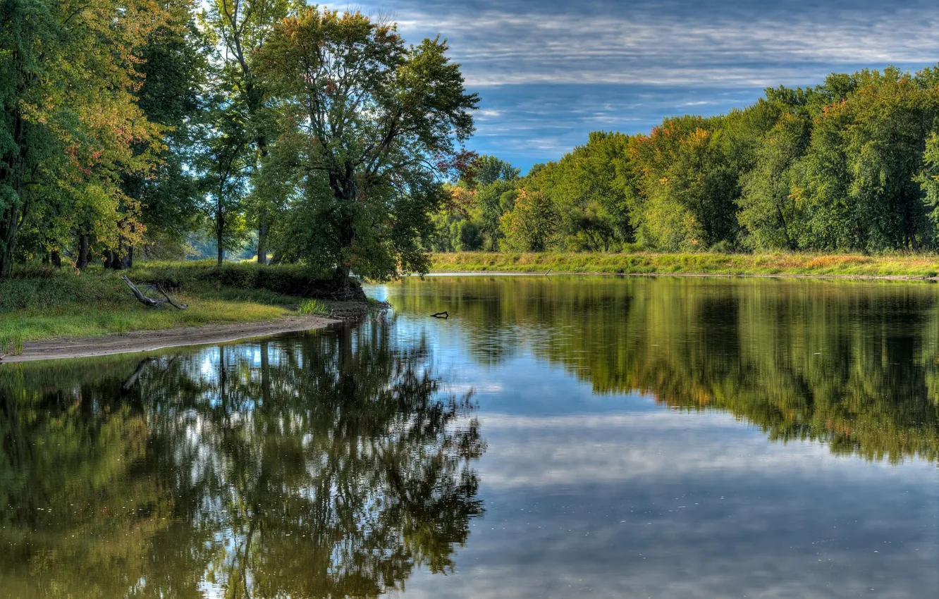 Photo wallpaper forest, the sky, grass, clouds, trees, landscape, nature, river