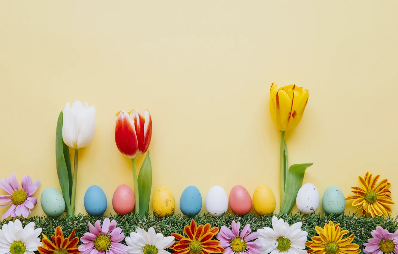 Photo wallpaper flowers, spring, colorful, Easter, tulips, chrysanthemum, flowers, tulips