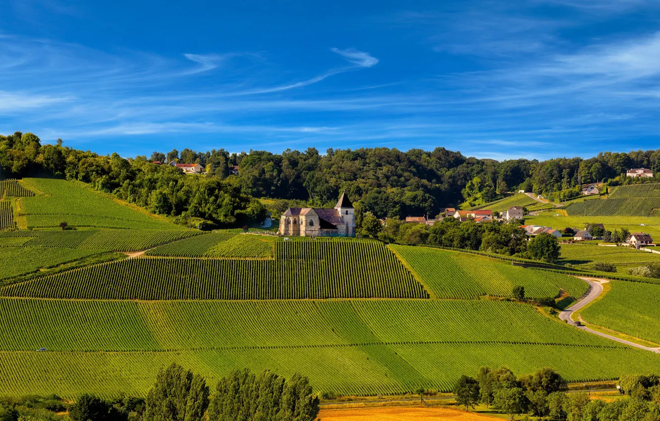 Photo wallpaper France, village, champagne, sunny, Vineyards