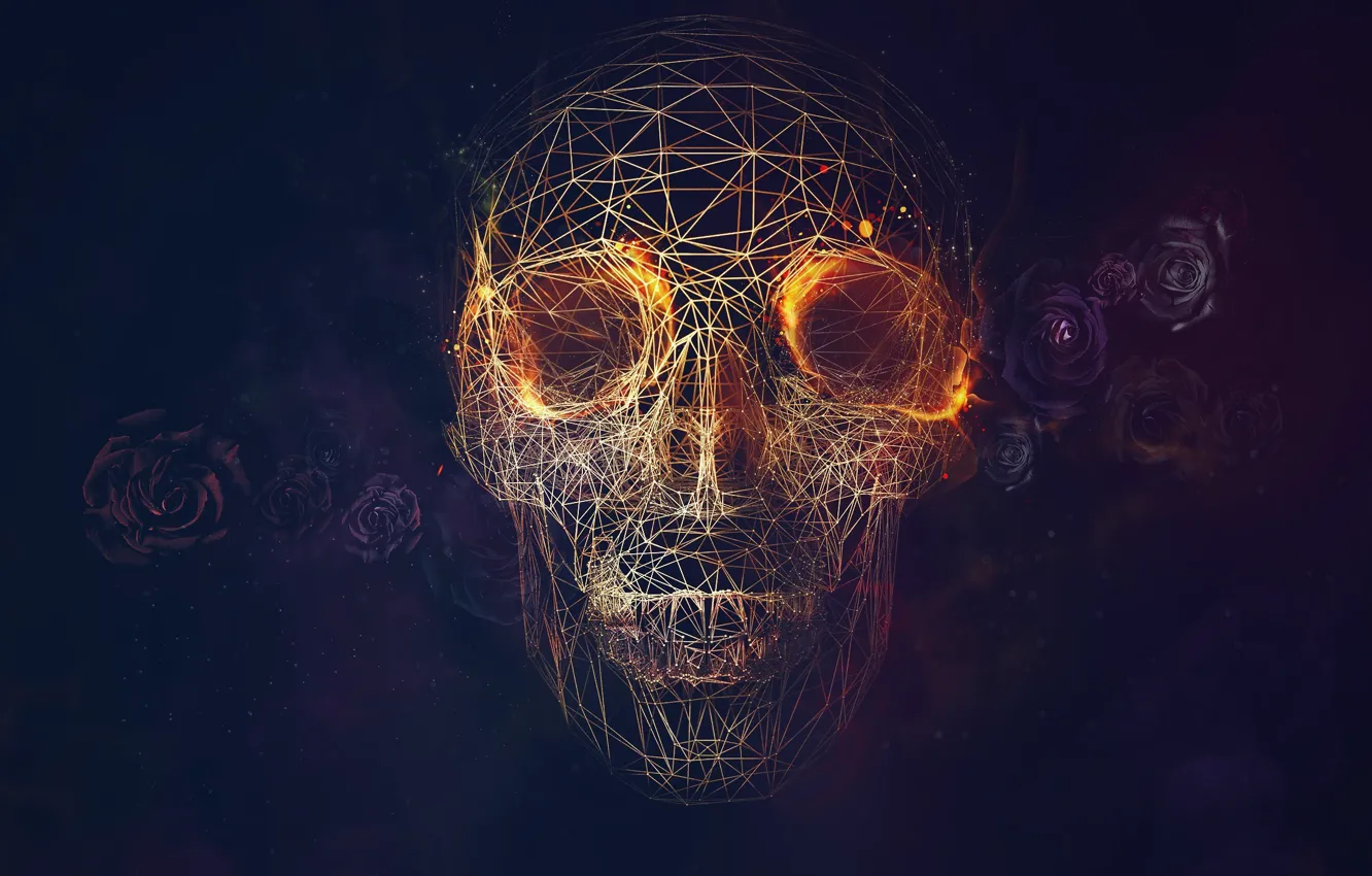 Photo wallpaper line, skull, roses, geometry