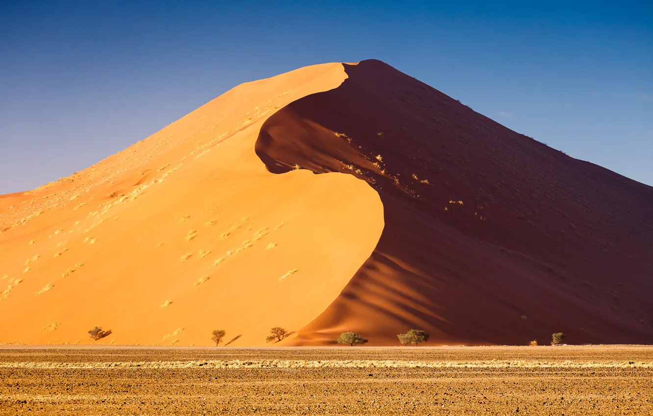 Photo wallpaper sands, sun, heat, dune, Desert, arabian
