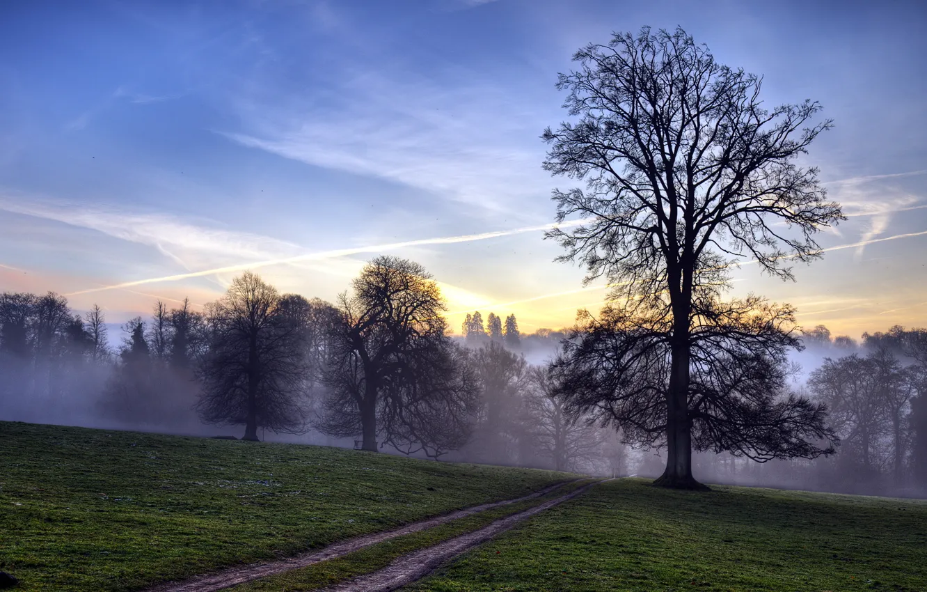 Photo wallpaper road, field, trees, landscape, sunset