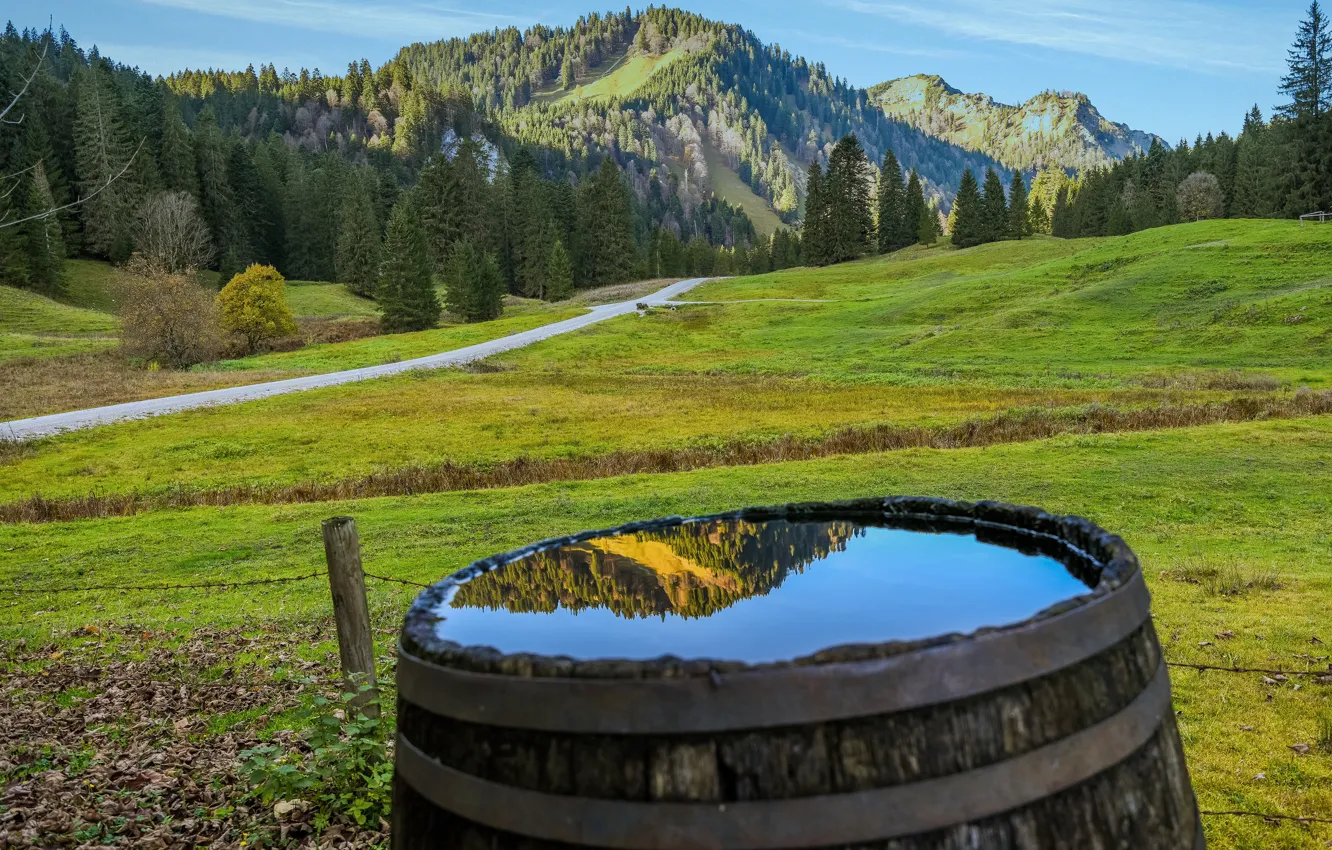 Photo wallpaper road, greens, field, forest, summer, grass, water, mountains